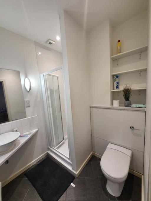 Lovely Spacious Studio Flat In City Centre. Birmingham Eksteriør billede